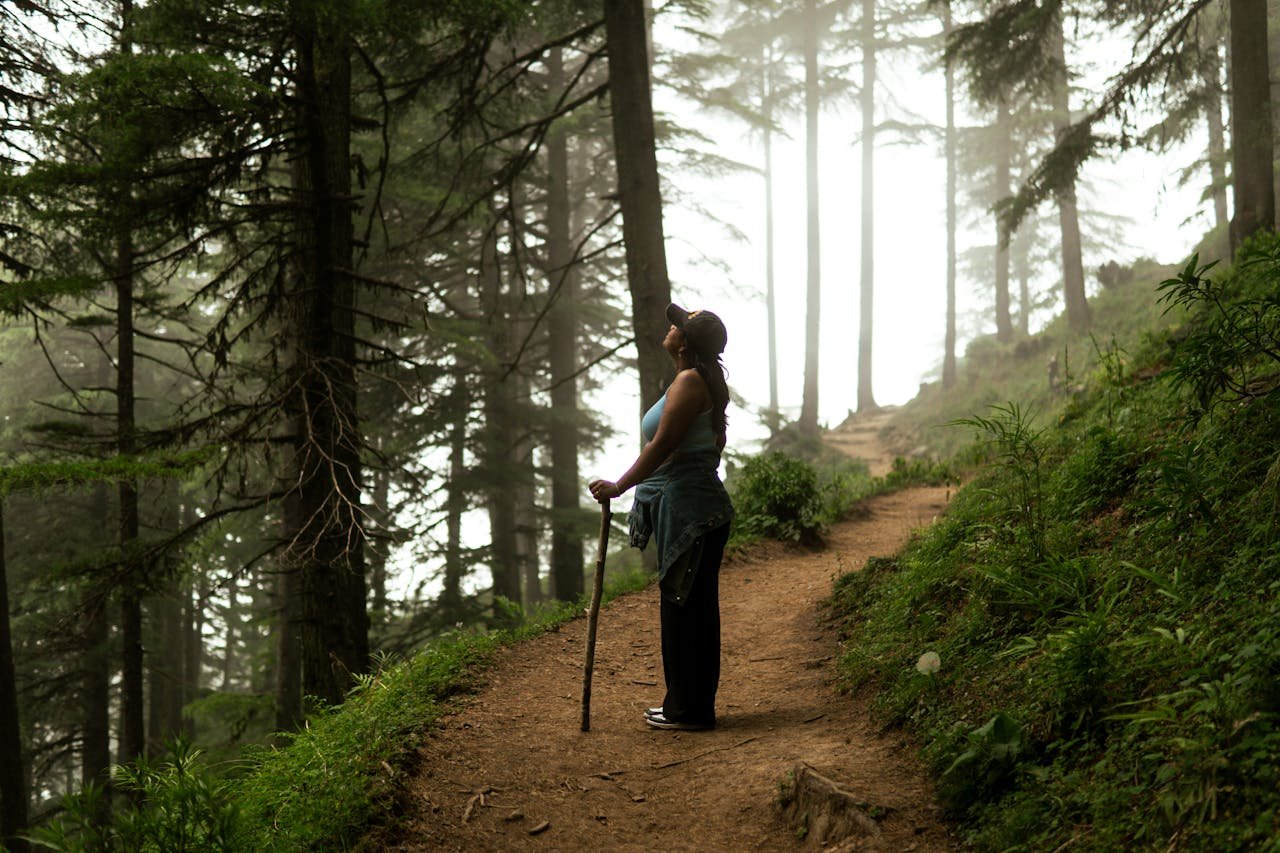 woman-hiking-in-misty-forest-trail-33720063